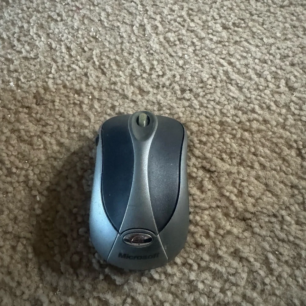 Microsoft mouse